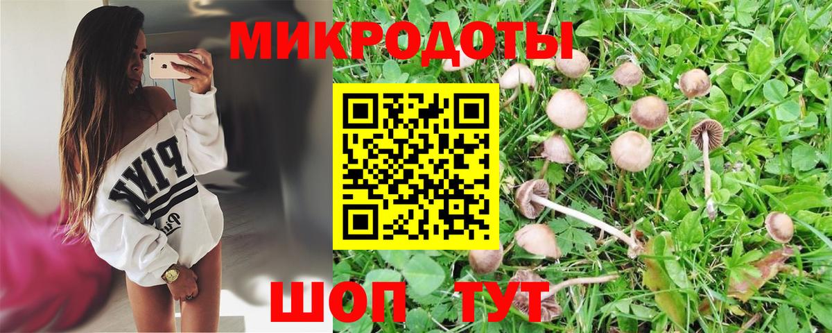 Галлюциногенные грибы GOLDEN TEACHER Кулебаки