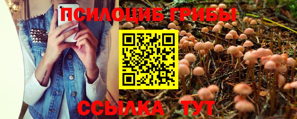 Кулебаки  Псилоцибиновые грибы мицелий  Вход с VPN 