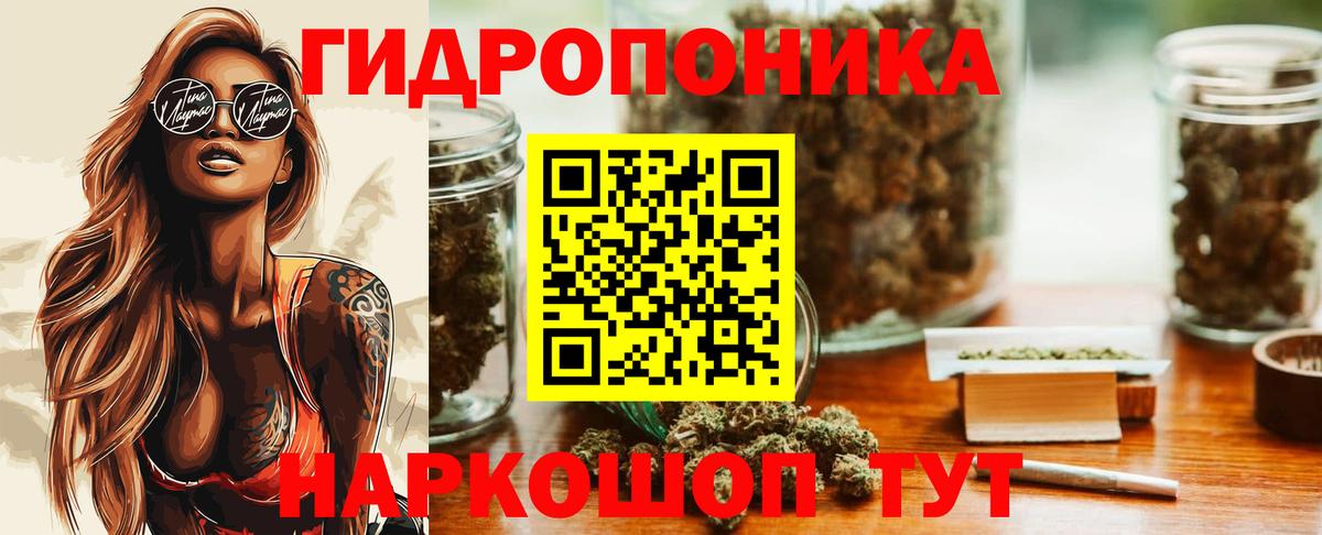 Конопля гибрид Кулебаки